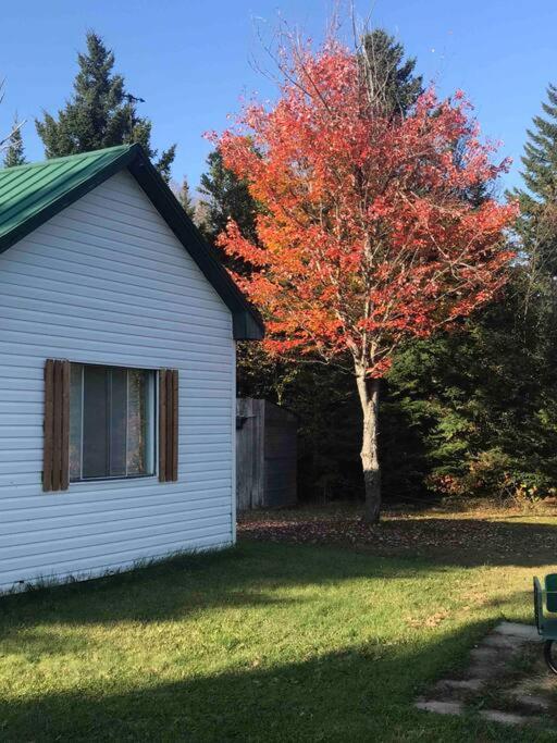 Le Jazz- Chalet Rustique/Chic Avec Spa Notre-Dame-Des-Bois Kültér fotó