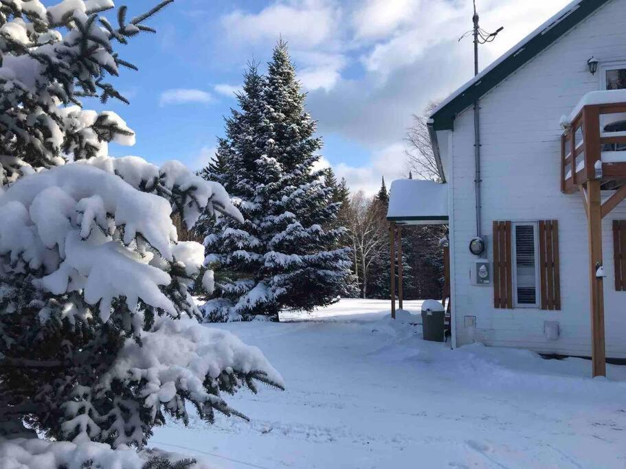 Le Jazz- Chalet Rustique/Chic Avec Spa Notre-Dame-Des-Bois Kültér fotó